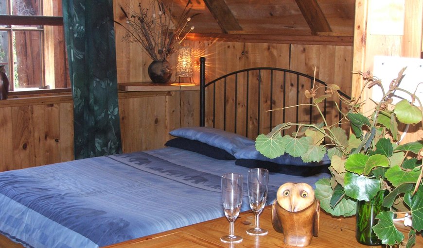 Owl Cabin - bedroom in Rheenendal, Knysna, Western Cape, South Africa