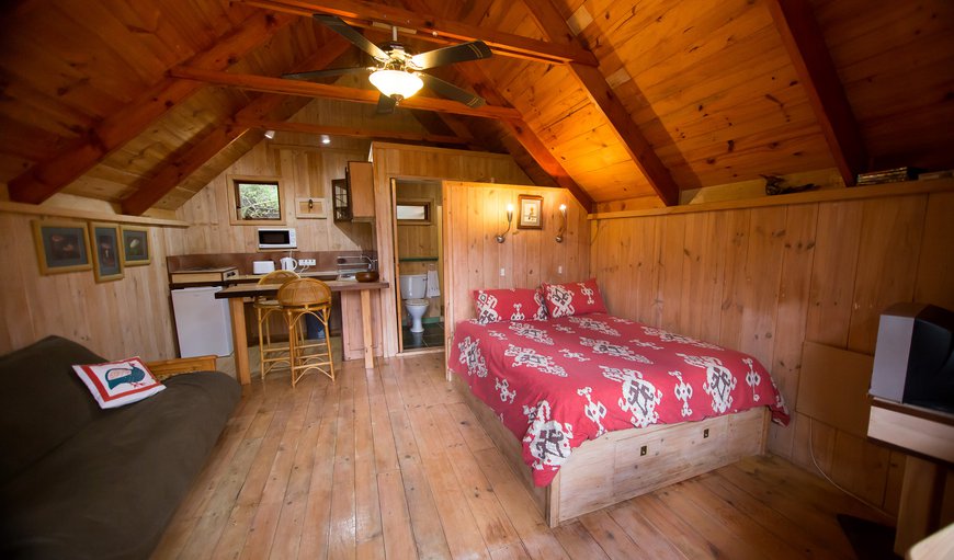 Hoopoe: Hoopoe Cabin - Interior