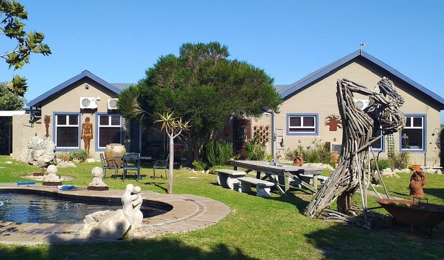 Large back garden with salt-water pool in Betty's Bay, Western Cape, South Africa