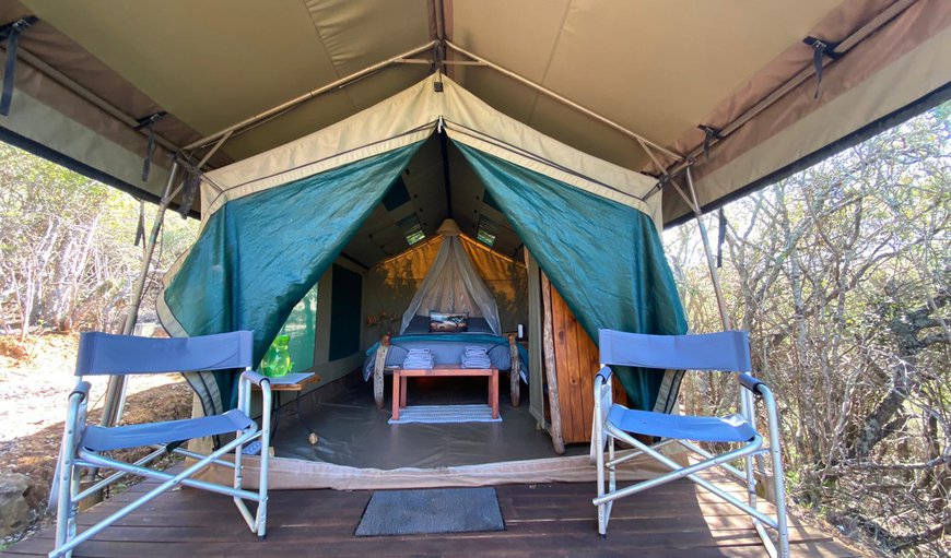 Tented Camp 1: Tented Camp Double Bed