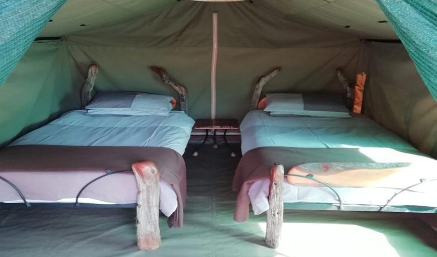 Tented Camp 4: Tented Camp Twin Beds