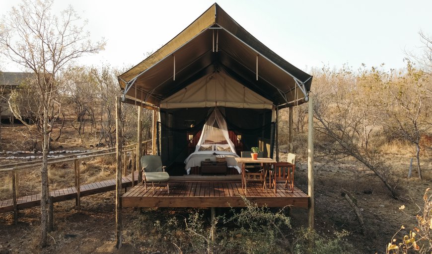 Luxury Safari Tents: Luxury Safari Tent Inkanyezi