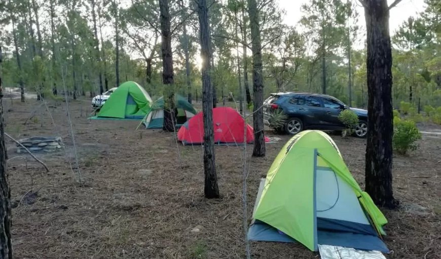 Eco Campsite: Eco Campsite