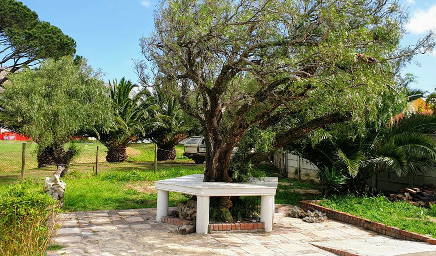 Outside area in Dobson, Gordon's Bay, Western Cape, South Africa