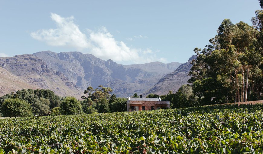 Welcome to La Roche Estate! in Franschhoek, Western Cape, South Africa