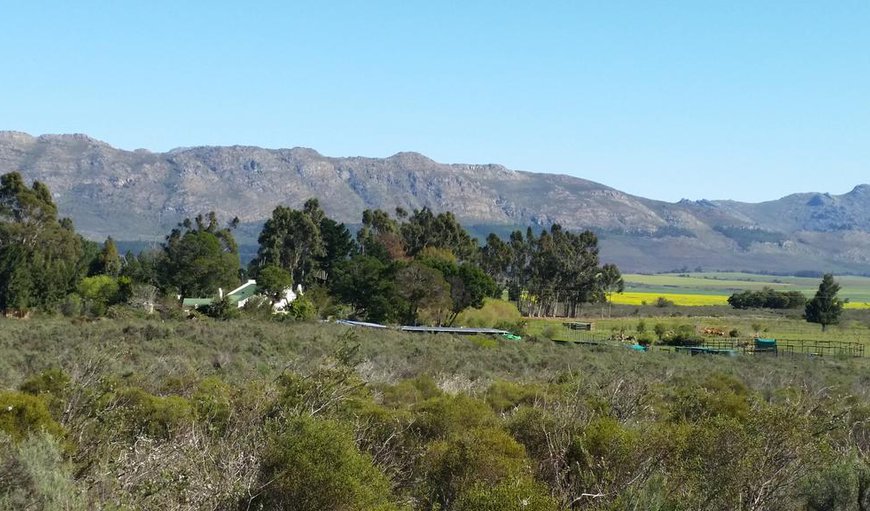 Welcome to Fynbos Guest Farm Cottages in Wolseley, Western Cape, South Africa