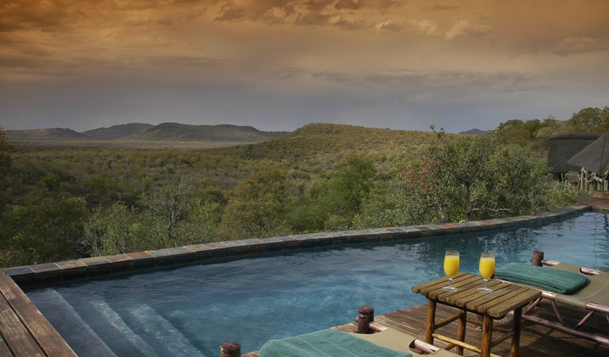 Welcome to Buffalo Ridge Safari Lodge! in Madikwe Reserve, North West Province, South Africa