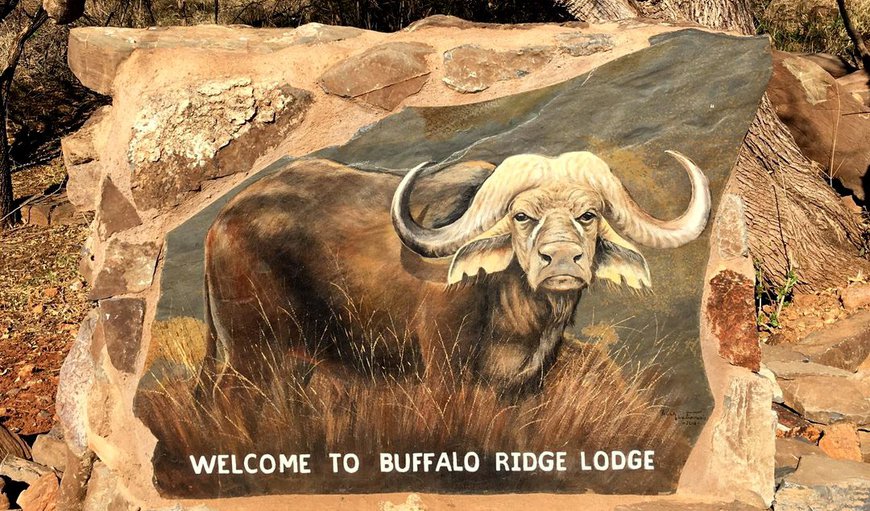 Welcome to Buffalo Ridge Safari Lodge