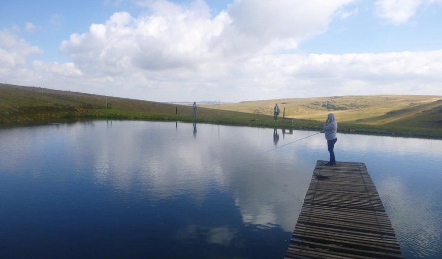 The farm boasts 4 well-stocked trout dams (fly fishing ONLY) where guests can fish on a catch-and-release basis The farm boasts 4 well-stocked trout dams (fly fishing ONLY) where guests can fish on a catch-and-release basis