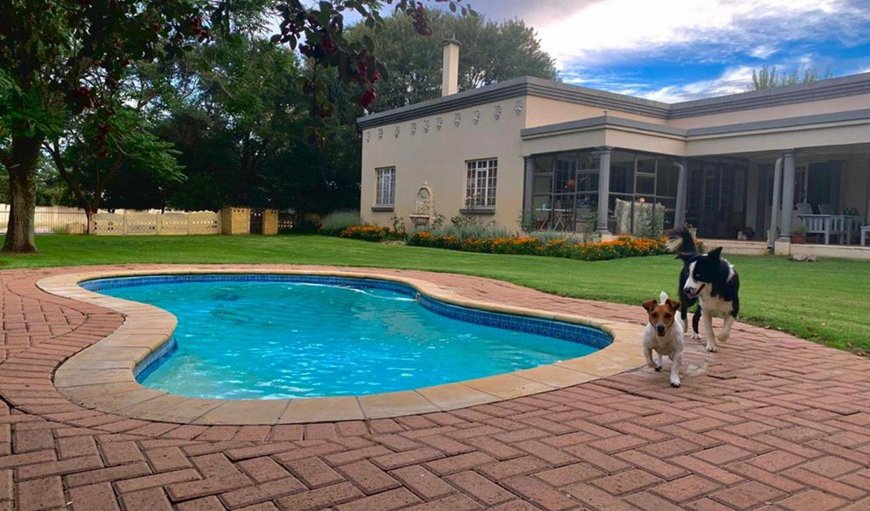 Welcome to At the River Guest House! in Kroonstad, Free State Province, South Africa