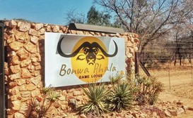 Bonwa Phala Game Lodge image