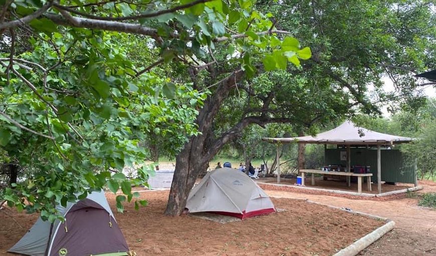 Camp Nguni Camp Site: Camp Nguni - Camp Nguni can accommodate 8 tents, including rooftop tents and caravans