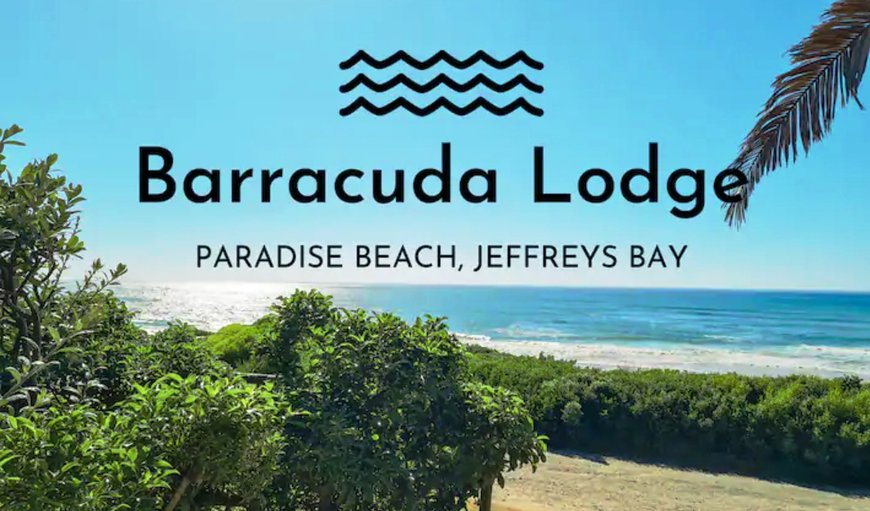 Welcome to Barracuda Lodge - on the beach in Jeffreys Bay, Eastern Cape, South Africa
