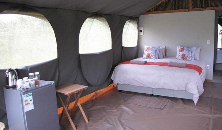 Luxury Tent: Luxury Tent