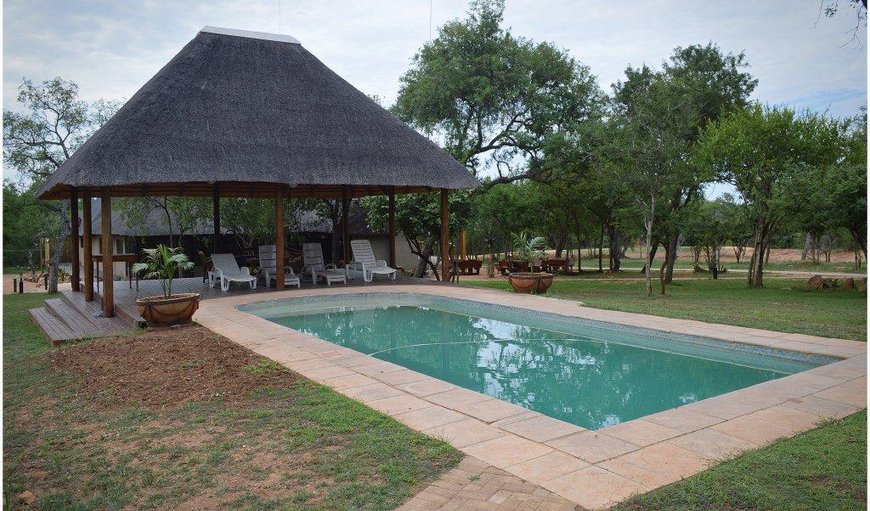 Welcome to Klavati Game Lodge in Hoedspruit, Limpopo, South Africa