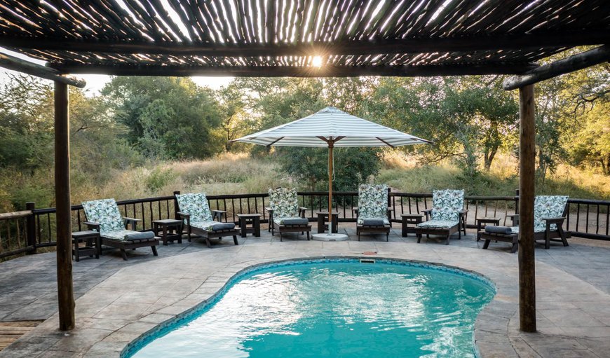 Welcome to Umkumbe Bush Lodge (Luxury Tented Camp) in Sabi Sands Game Reserve, Mpumalanga, South Africa
