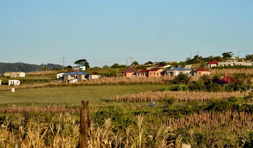 Welcome to Wild Coast Homestays in Selborne, East London, Eastern Cape, South Africa