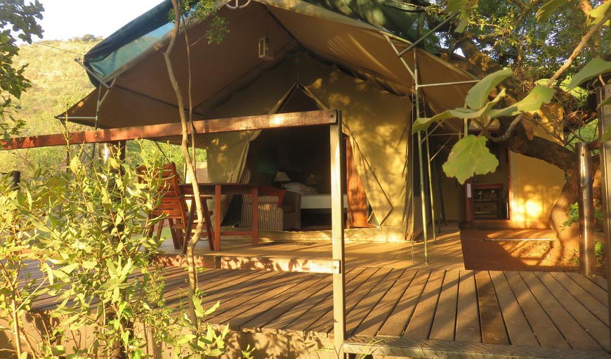 Karee: Karee with adjoining treehouse - Tent exterior