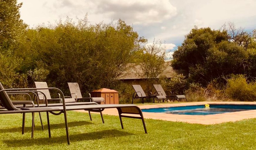 Welcome to Duikerskloof Exclusive Tented Camp! in Buffelspoort, North West Province, South Africa