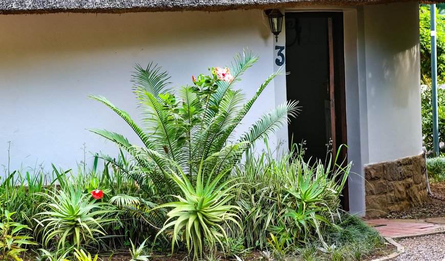 Mpisi Rondavels - Family Suite: Mpisi Rondavels -Family Suite
