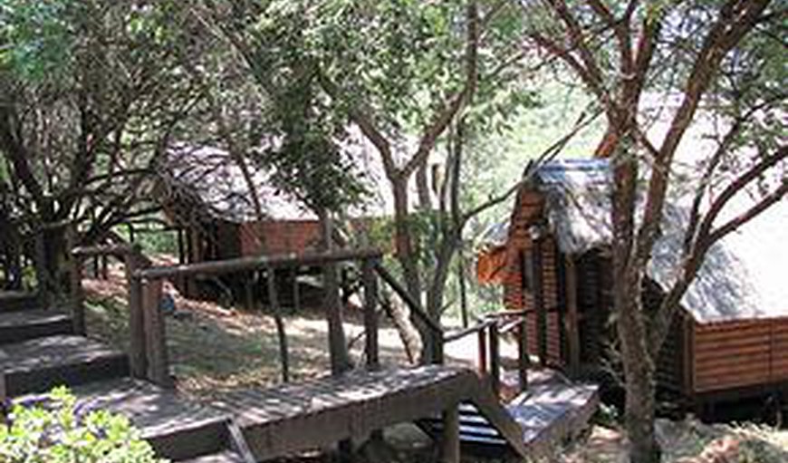 Ingwe Cabin Room 20: Ingwe Cabins