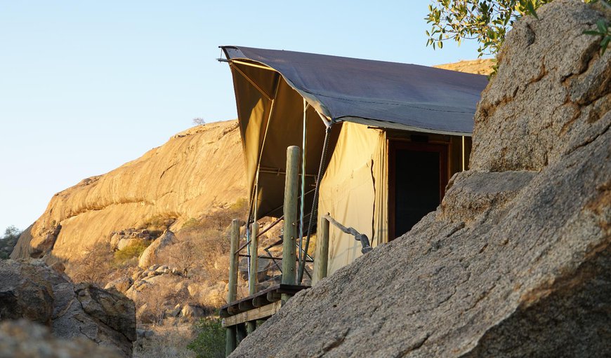 Honeymoon Tent: Honeymoon Tent
