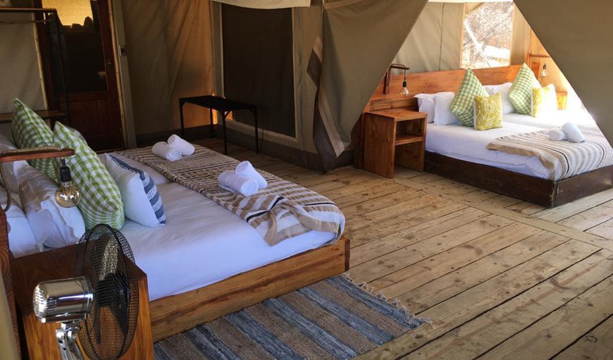 Family Tent: Luxury Family Tent