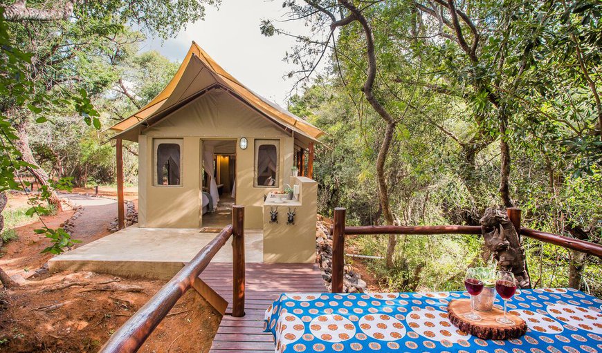 Welcome to Zwartkloof Tented Camp in Bela Bela (Warmbaths), Limpopo, South Africa