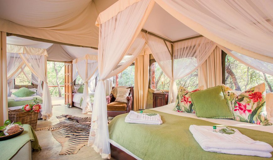 Zwartkloof Tented Camp: This Luxury Family Tent is equipped with a king bed and two three quarter beds