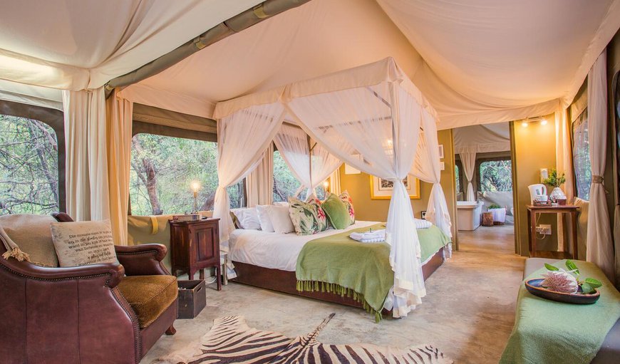 Zwartkloof Tented Camp: This Luxury Family Tent is equipped with a king bed and two three quarter beds