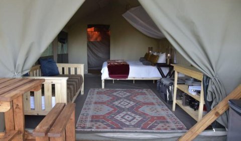 Luxury Tent (Queen Bed): Luxury Tent