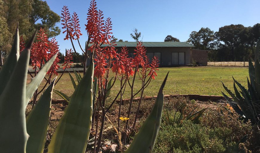 Welcome to Little farms in Colesberg, Northern Cape, South Africa