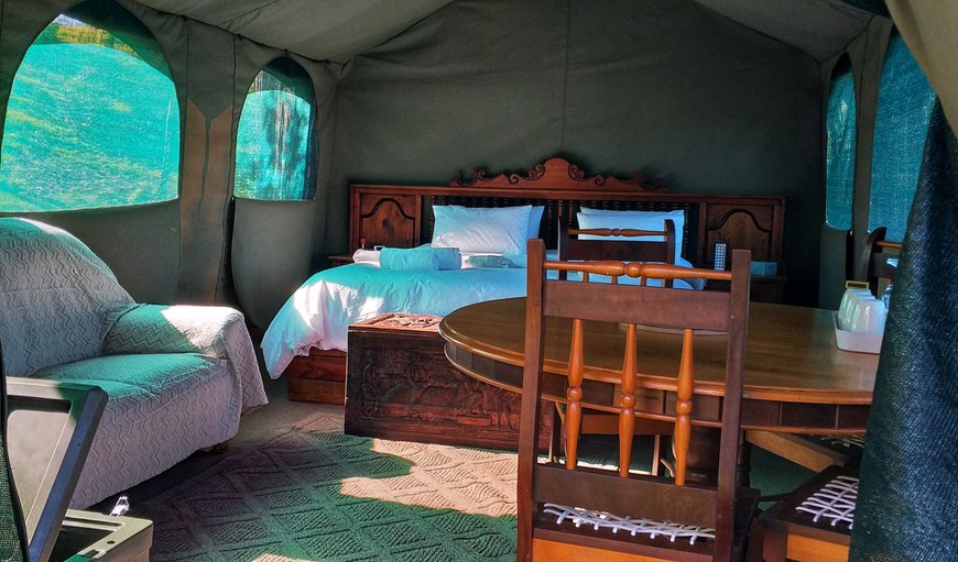 Forest Edge: Tent Interior