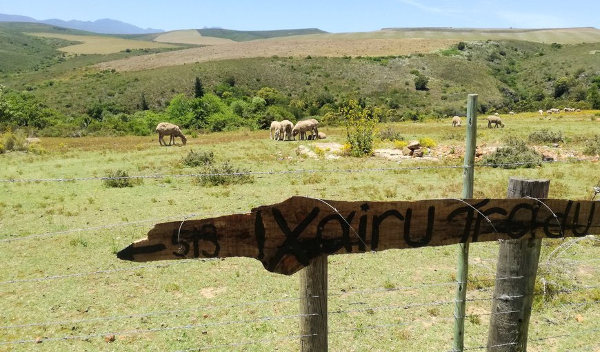 Welcome to !Xairu Tradu in Suurbraak, Western Cape, South Africa