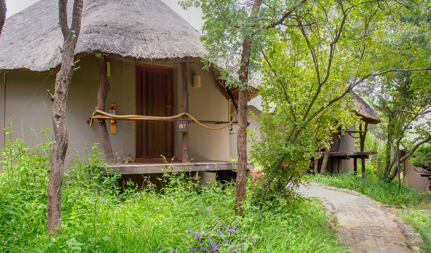 Welcome to Warthogs Bush Lodge in Magaliesburg, Gauteng, South Africa