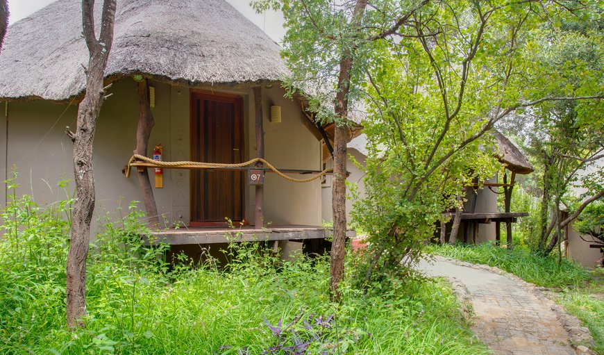 Warthogs Bush Lodge in Magaliesburg, Gauteng, South Africa