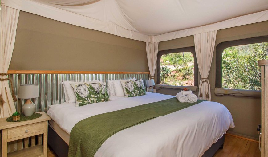 Luxury Tent: Bedroom with King bed
