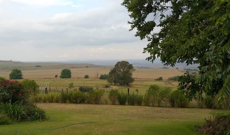 Welcome to Highover Stud in Mooi River, KwaZulu-Natal, South Africa