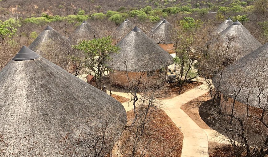 Welcome to Morokologa Nature Reserve in Hoedspruit, Limpopo, South Africa