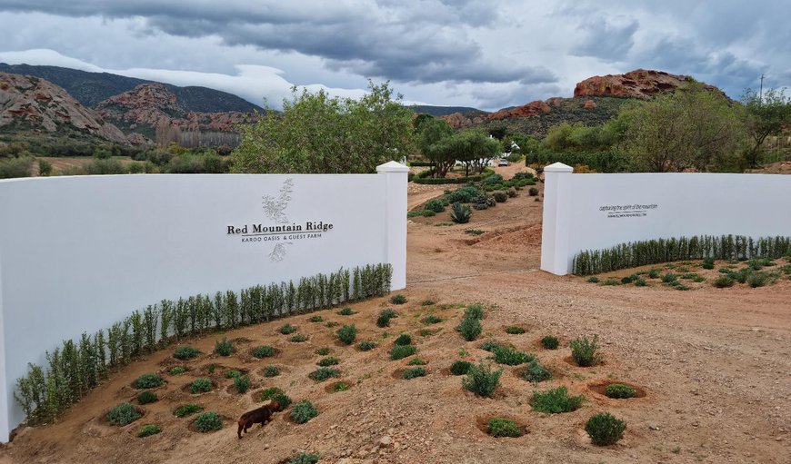 Entrance to Red Mountain Ridge Karoo Oasis and Guest Farm