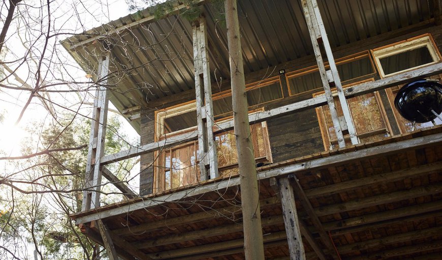 Treehouse: Treehouse - Exterior