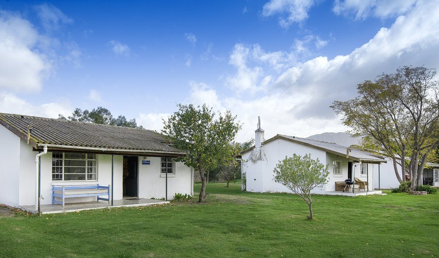 Constantia Cottages: Constantia Cottages - Exterior