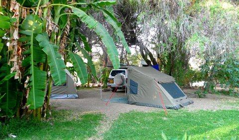 Campsite for Tents (Max 8 Person): Campsite for Tents (Max 8 people)