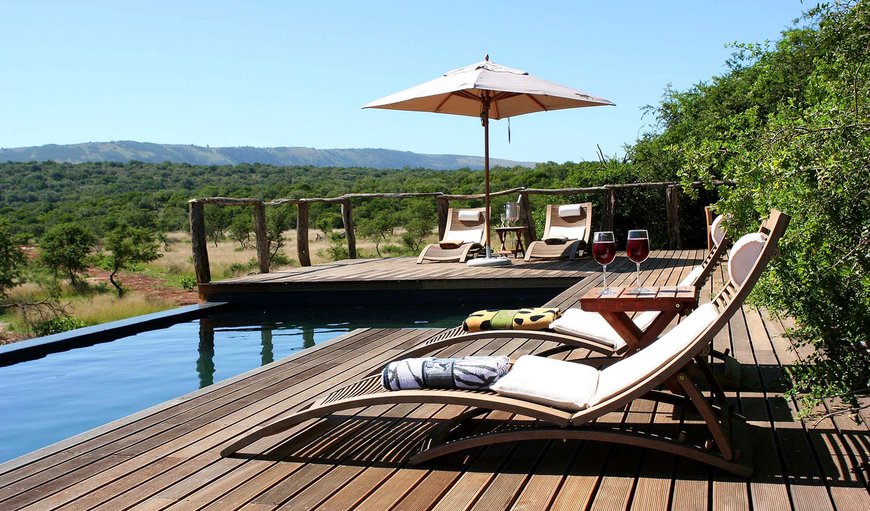 Welcome to Pumba Private Game Reserve Msenge Bush Lodge! in Grahamstown, Eastern Cape, South Africa