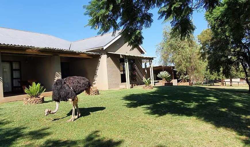 Welcome to Berlouri Barn Venue & Guest House! in Hekpoort, Magaliesburg, Gauteng, South Africa