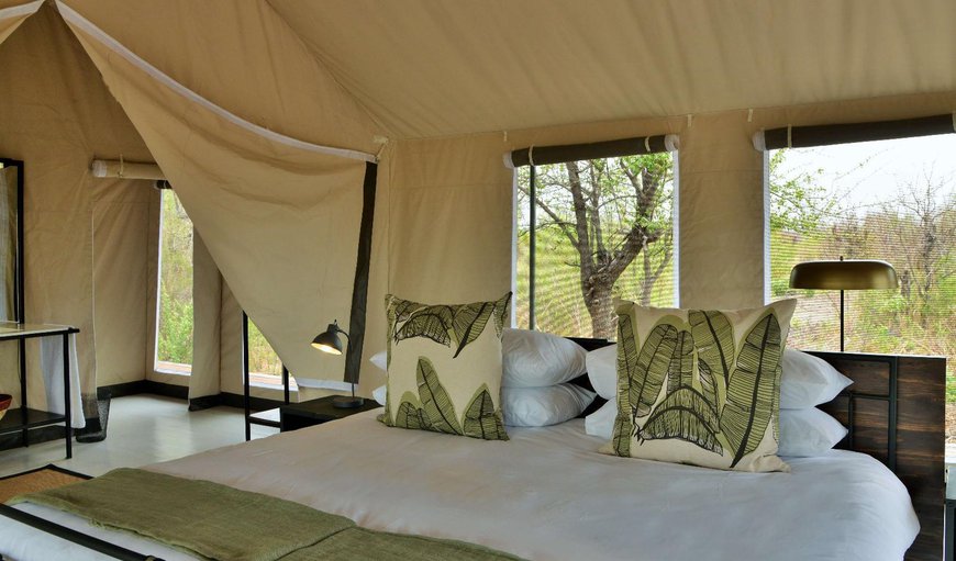 King/Twin Tent 2: King/Twin Tent 2 - Tent with a Super King Bed or 2 x ¾ beds