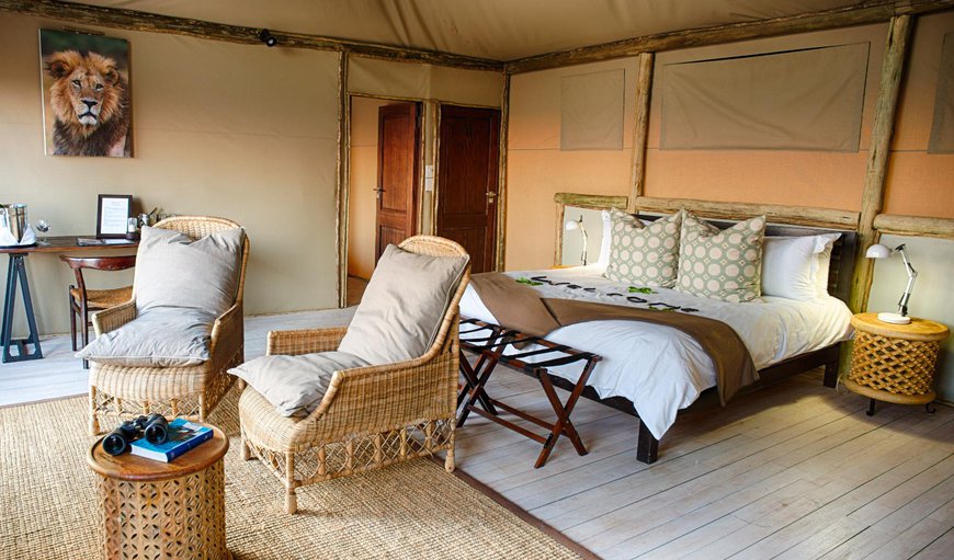 Family Tent 2: Family Tent 2