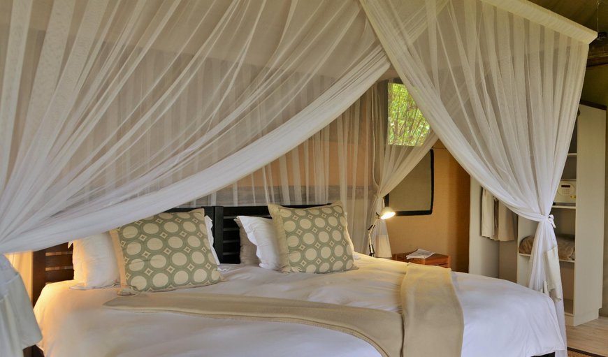 Twin/King Tent 4: Twin/King Tent 4