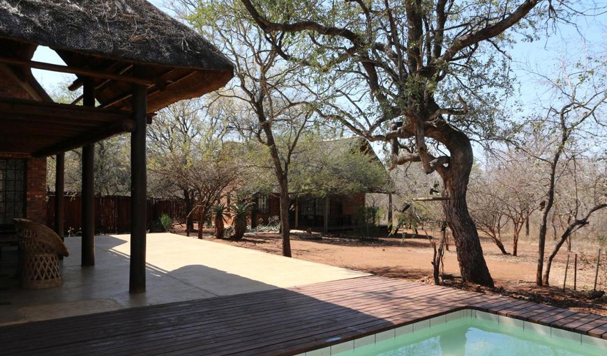 Welcome to Villa ZaZu in Marloth Park, Mpumalanga, South Africa