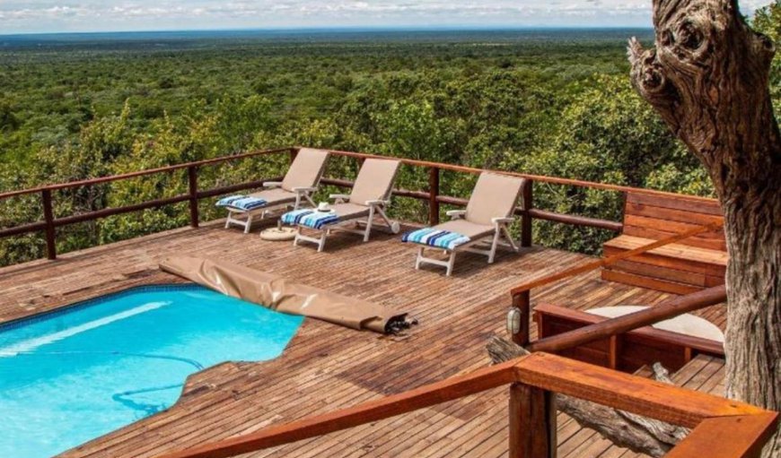 Welcome to Eclectic Safaris in Bela Bela (Warmbaths), Limpopo, South Africa